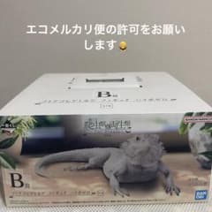 이치 반 쿠지 파충류 & 양서류 vol.2 B상 풋아고히게 도마뱀 피규어