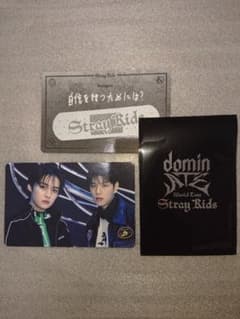 Stray Kids domin フォーチュンカード リノ &スンミンのサムネイル