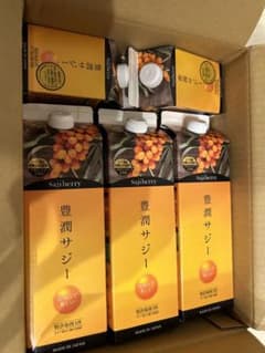 豊潤サジー【届いたばかり】のサムネイル