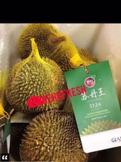 （2個）約3kg熟して冷凍空輸マレーシア蘇丹王ドリアンのサムネイル