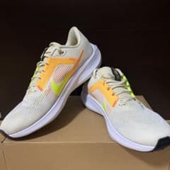 NIKE ナイキ　エアズーム　ペガサス40 28cmのサムネイル