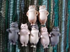 整列キャットのサムネイル