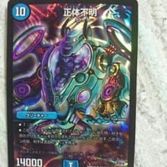 正体不明のサムネイル