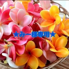 ★みー様専用★のサムネイル