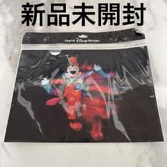 【定価以下】ディズニー イマジニングザマジック クリアファイルセット