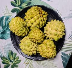 沖縄本島北部「今帰仁村」直送！甘い森のアイスクリーム「アテモヤ」1