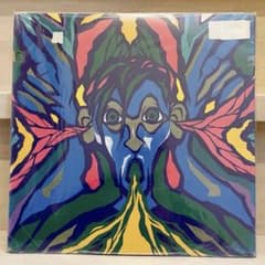 SALU - IN MY SHOES [4LP] 日本語ラップ レコード - メルカリ