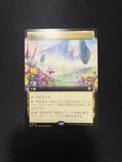 MTG 豊かな在郷 日本語拡張アートのサムネイル