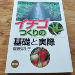 イチゴつくりの基礎と実際 齋藤弥生子 農文協のサムネイル