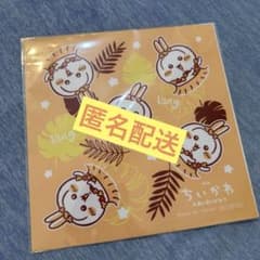 치이카와 토끼 멀티 클리너 한정