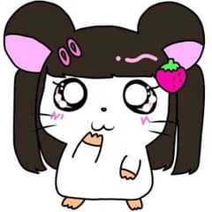 はやおさま 専用です！のサムネイル