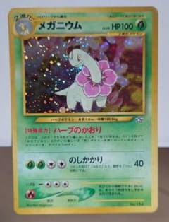 C*m様 旧裏　極美品　メガニウム　プレミアムファイル　デンリュウ　ワタッコ　★ メガニウム（旧裏）neoプレミアムファイル ワンオーナー良品 ポケカ