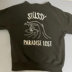 stussyパーカー！　ほぼ新品未使用、Ｌサイズ、正規品です！　値下げ可！のサムネイル