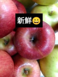 今年収穫 秋リンゴセット 8キロ位 梱包材込み 栽培中農薬不使用 - メルカリ