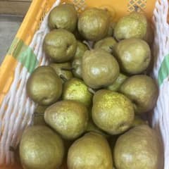 Heardタイプ　メロウリッチ　4L箱込み12kg 傷あり　超訳あり　西洋梨のサムネイル