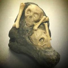 流木とドクロの置物のサムネイル