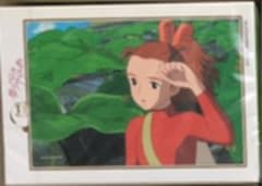 kiki様、画像の2つでお間違いありませんか？のサムネイル