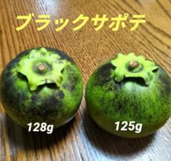 ブラックサポテ　2コのサムネイル