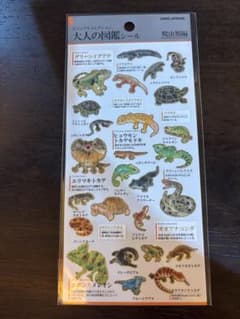 大人の図鑑シール⭐︎爬虫類編のサムネイル