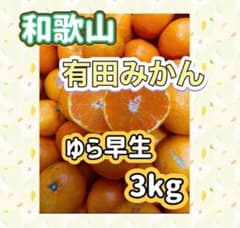 和歌山 有田みかん ゆら早生3kgのサムネイル
