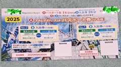 ◉期間限定　値下げ◉ナガシマスパーランド●1日パスポート券●1名●のサムネイル