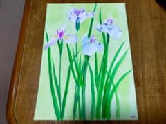 菖蒲 透明水彩画 絵画 原画 手書き アートのサムネイル