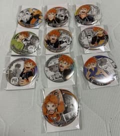 ハイキュー！！ コレクション缶バッジ HEROES 日向翔陽 全10種セットのサムネイル