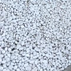 ドラゴンボールのサムネイル