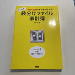 ずぼら主婦でもお金が貯まる! hana式袋分けファイル家計簿のサムネイル