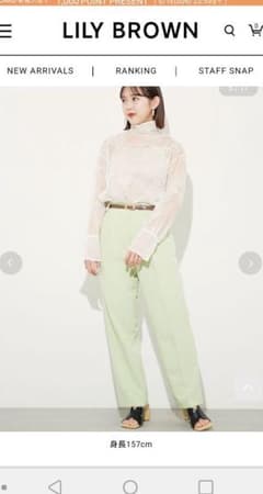 本日限定価格フロッキーオーガンジーブラウスのサムネイル