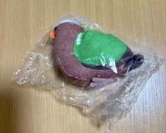 鳩のぬいぐるみ ガチャガチャ キンバトのサムネイル