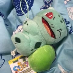 ポケモン ぬいぐるみのサムネイル