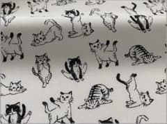 ヨガ猫＊布・はぎれ＊のサムネイル
