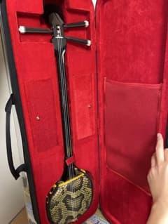 三線 初心者 練習 ケース付 本体のサムネイル
