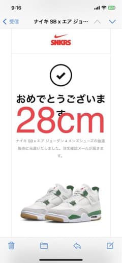 JJJ様専用　28cm エア ジョーダン4のサムネイル