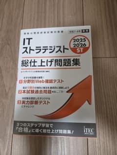 2025 ITストラテジスト 総仕上げ問題集のサムネイル