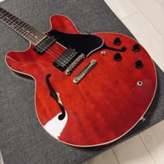 Archtop Tribute AT135STPのサムネイル