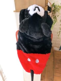 ミッキー着ぐるみのサムネイル