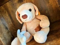 Steiff シュタイフ 犬のサムネイル