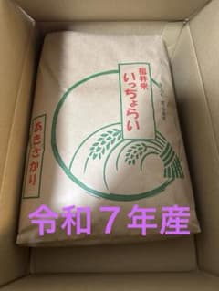 福井米 いっちょうらい あきさかり 10kg - メルカリ