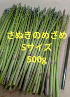 アスパラ　さぬきのめざめ　Sサイズ - 2