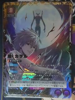 ユニオンアリーナ 渚 カヲル パラレル 星2 SR - メルカリ