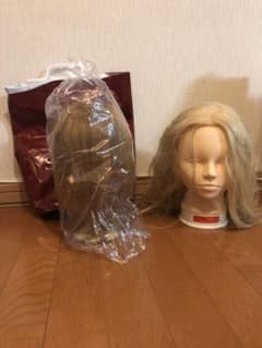 スピロ102（1度ブリーチ済）ヘアアレンジ用ウィッグセットのサムネイル
