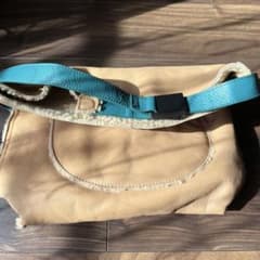 Used Tsumori Chisato leather bag, can also be used as a clutch bag!