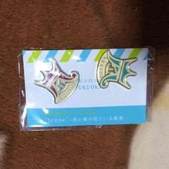 嵐☆ピンバッチのサムネイル