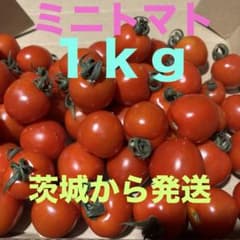 ミニトマト　１ｋｇ　コンパクトのサムネイル