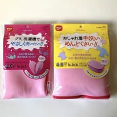 Daiya 高級洗濯ネット2点セット　サボるんおしゃれ着ネットボックス&ブラのサムネイル