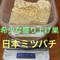 m19964122133_1.jpg?1775286113