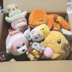 포켓몬 인형 4체 + 마스코트 2체 세트