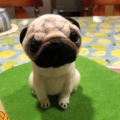 羊毛フェルトパグちゃんのサムネイル